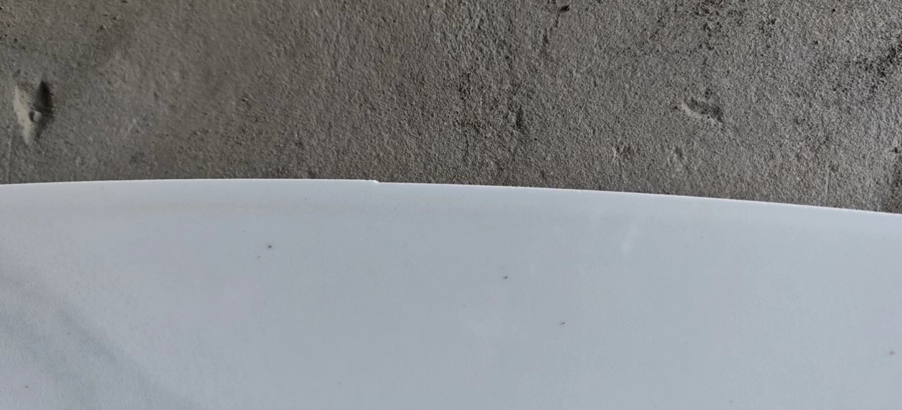 微信截图_20240625090343.png 微信截图_20240625090343.png